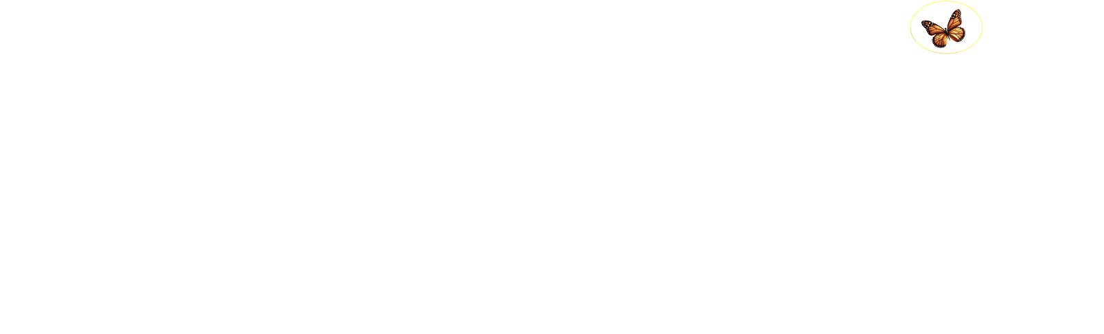 Magia 33